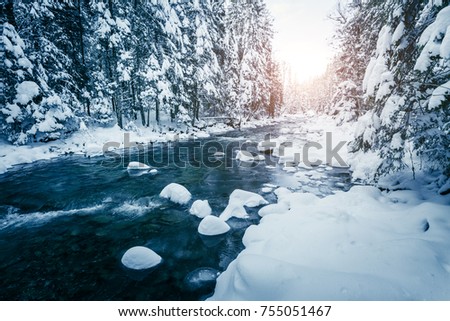 Scenic image of stormy flow. Frozen stones in frosty day. Location Carpathian, Ukraine, Europe. Discover the beauty of earth. Climate change. Incredible picture of holiday wallpapers. Happy New Year!