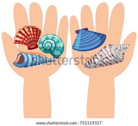 Seashells on human hands illustration