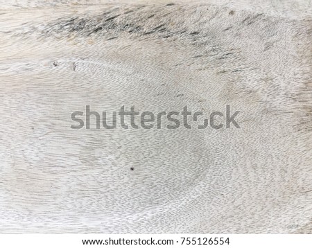 Old Wood texture,Bark texture for the background.