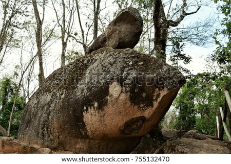 The shark stone in the park of stone Mounted and Guararema
