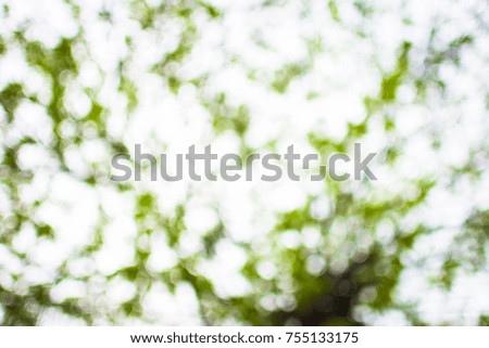 Green blurred background and sunlight frame. Natural background or texture.