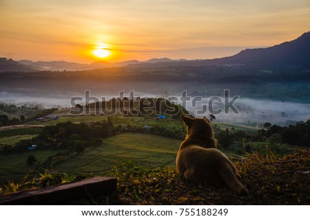 Scenery view of sunrise from Khao Ta-Khian Ngo Viewpoint. Location in Khao Kho District, Phetchabun, Thailand.
