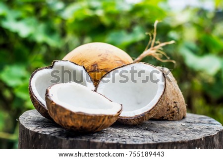 Coconut fruit and coconut half.