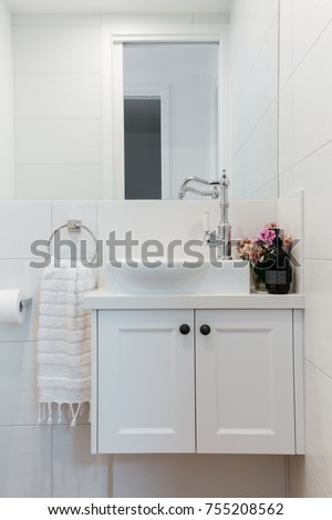 Powder room vanity in a contemporary country home Royalty-Free Stock Photo #755208562