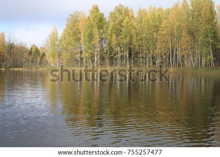 Views from the great lake, water, forest, shore, trees. Autumn lake.