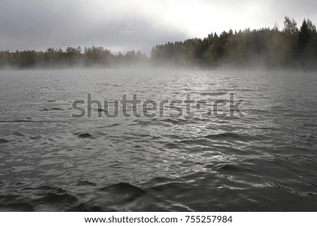 Views from the great lake, water, forest, shore, trees. Autumn lake.