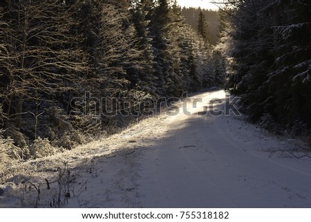 Road through the forest with snow and ice and partly with sun light, picture from the Northern Sweden.