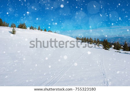 Winter landscape with fir trees, snowflakes and heavy snowfall