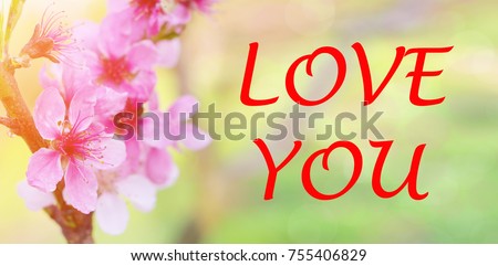 Caption of the word Love on the background of beautiful flowers. Inscription I love you. Beautiful background of flowers. Valentine's Day. Honeymoon.