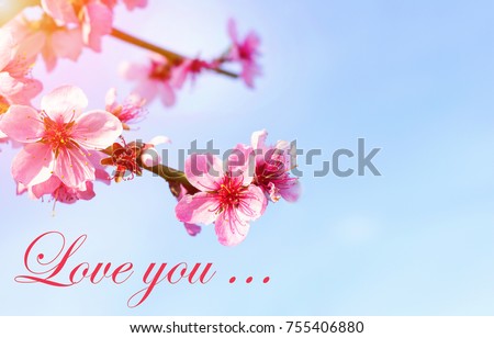 Caption of the word Love on the background of beautiful flowers. Inscription I love you. Beautiful background of flowers. Valentine's Day. Honeymoon.
