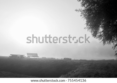 autumnal landscape with fog