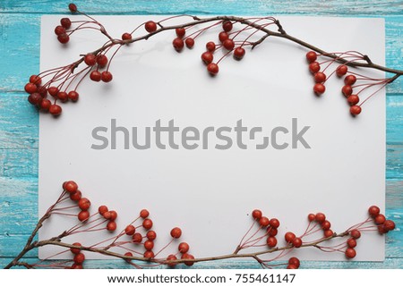White background with branches with small apples,  close-up, Top view  