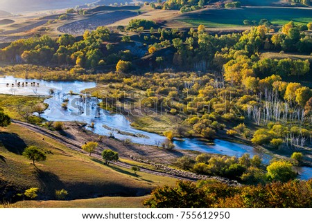 Cow and sheep across the river on Bashang grassland at Inner Mongolia. Royalty-Free Stock Photo #755612950