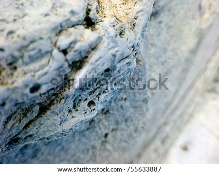 macro photography, limestone