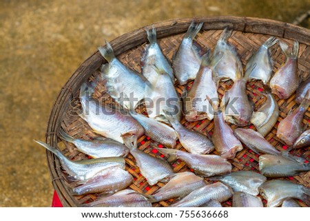 The fish to dry by the sun , Dried fish food of the people in th