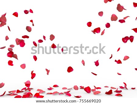 Rose petals fall to the floor. Isolated background Royalty-Free Stock Photo #755669020