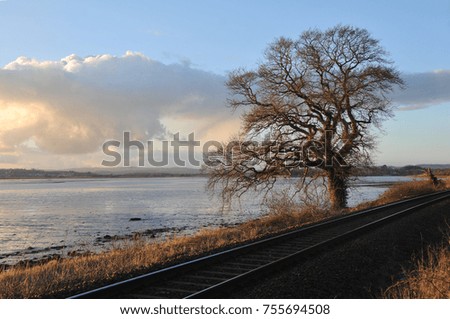 Railway by the river delta at sunset