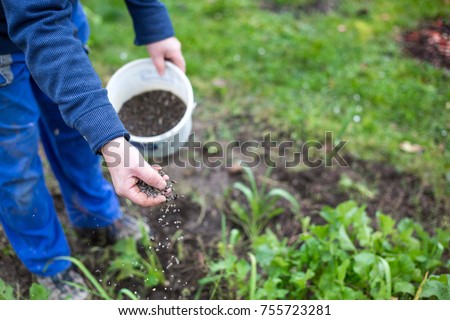 Fertilizing the garden by bio granular fertilizer for better conditions of garden Royalty-Free Stock Photo #755723281