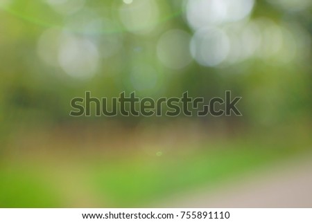 Abstract nature green boke background. Blurred the leaves, the sun, the sky in summer