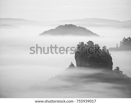 View into deep misty valley in Saxony Switzerland, Germany. Sandstone peaks and rocky hills sticking up from thick fog. Black and white picture. 