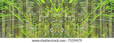 Reed Wall – Abstract background collage