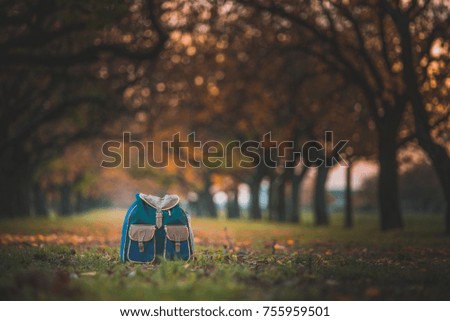 Back to school concept photo - school bag, autumn nature