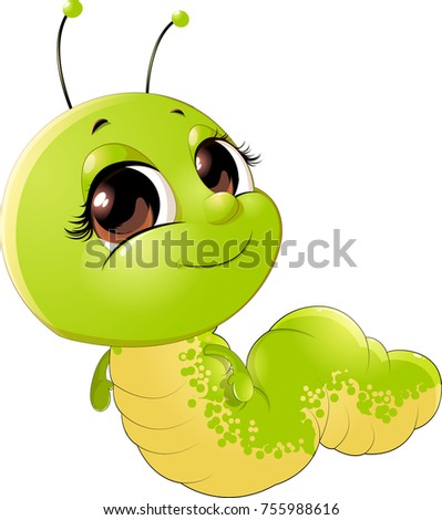cute insect caterpillar