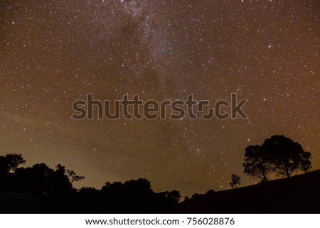 Milky Way and trees
