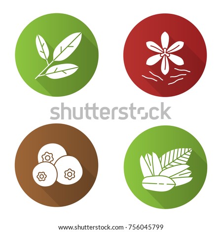 Spices flat design long shadow glyph icons set. Bay leaves, pistachio, allspice, saffron. Raster silhouette illustration