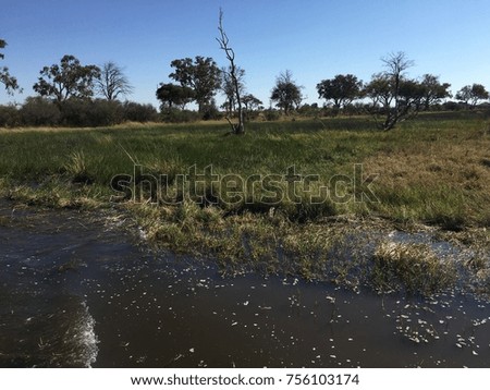 Moremi Wildlife Reserve, Okavango Delta, Botswana
