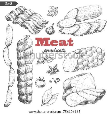 Vector set of isolated meat products. Vector illustration for your design