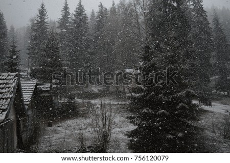
frame of a camera that shoots snow in the park in a small village from the mountain terrace with smoke and mist on the hill with green areas and Christmas snowy snowy tale