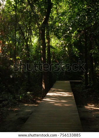 Walk way in forest at Huai Mae Khamin Waterfall, Kanchanaburi,Thailand