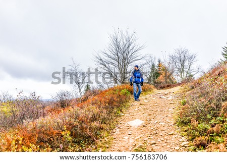 Man in cold jacket hiking uphill on trail path hill meadow on yellow, golden autumn hike with pine tree, rocks, boulders during cloudy, overcast weather in Dolly Sods, West Virginia with fall foliage