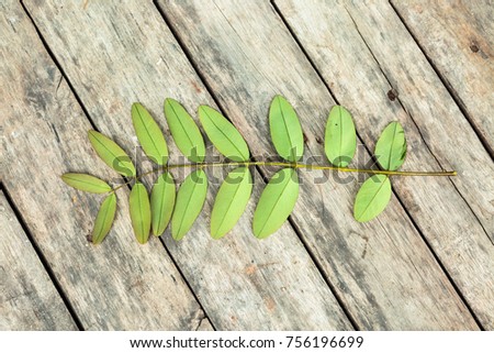 Green leaf on wood plank background