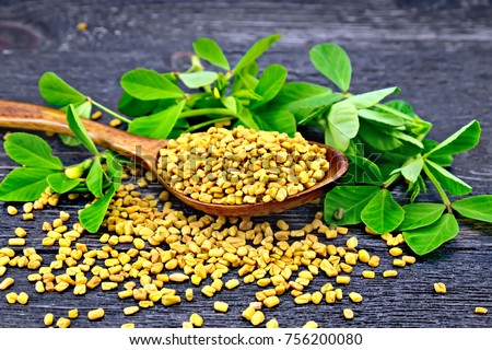 Fenugreek seeds in a spoon and on a table with green leaves against a black wooden board Royalty-Free Stock Photo #756200080
