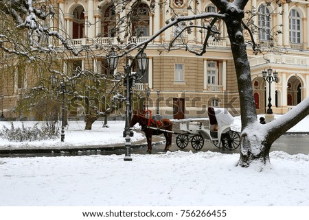 Carriage with horse near Odessa Opera house on winter day.
