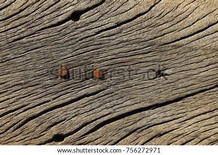 Rusty nails on old wooden floor with weathered surface.