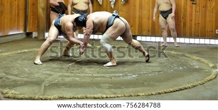 Sumo fighters and sumo wrestlers training in sumo stables preparing for the sumo tournament in Tokyo, Japan