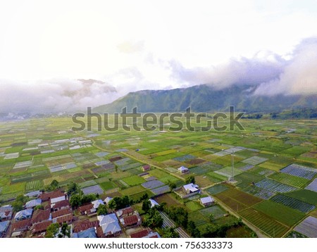 View field at Sembalun Village, Lombok island, Indonesia. Aerial Photography: November 2017