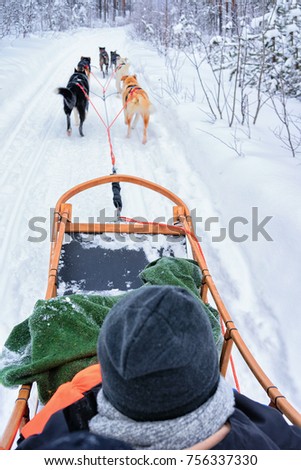 Man riding husky dogs sledge in Rovaniemi, Lapland at winter Finland