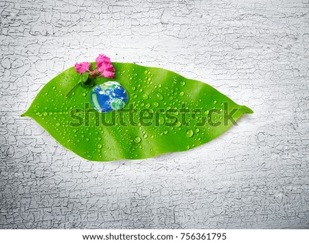 Earth in water drops on green leaf  with white grunge background, flat top view, Save the enviroment concept, Elements of this image furnished by NASA
