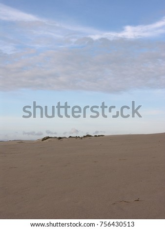 Guadalupe Dunes, California. USA