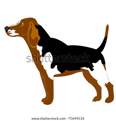 Illustration of the dog on white background