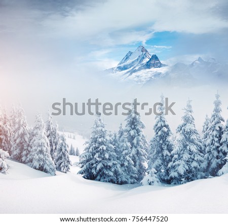 Creative collage. Frosty day on ski resort. Location Swiss alps, Switzerland, Europe. Picture of wild area. Moody weather. Explore the beauty of earth. Scenic image of hiking concept. Happy New Year!