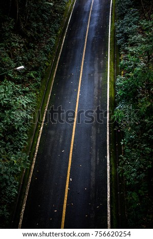 Black asphalt road that looks from top view With straight lines in white and yellow line There are green trees on the side of the road.  light that shines through the tree makes sense of loneliness