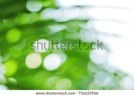 Green bokeh on nature defocus art abstract blur background