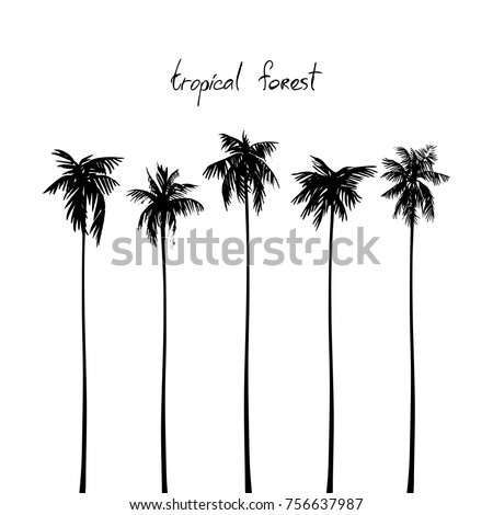 Silhouettes of tropical palms. Vector image isolated on white.