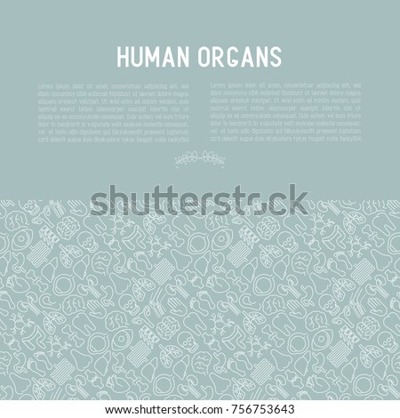 Human internal organs concept with thin line icons. Vector illustration for banner, web page, print media.