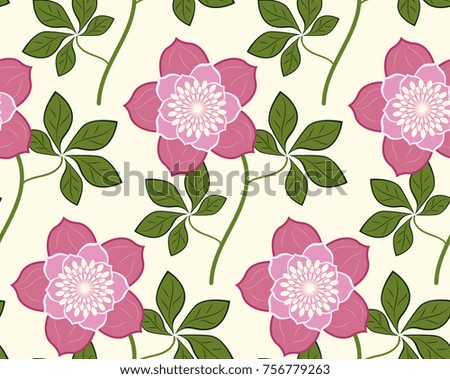 Seamless pattern flower Christmas rose, vector